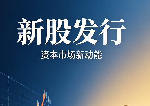 本周三只新股来袭：行业龙头集体亮相，打新机会几何？